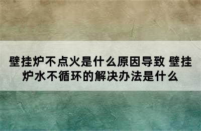 壁挂炉不点火是什么原因导致 壁挂炉水不循环的解决办法是什么